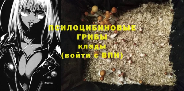 соль ск Заволжье