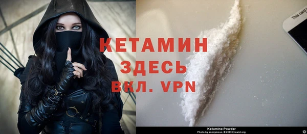 дмт Инсар