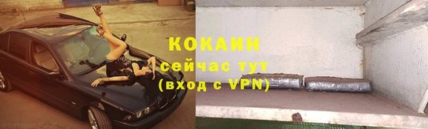 дмт Инсар