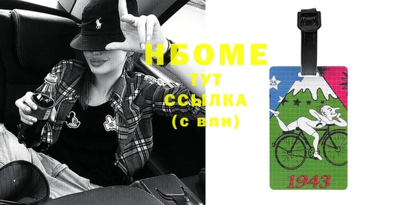 дмт Инсар