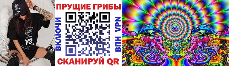 ссылка на мегу tor  Бердск  Псилоцибиновые грибы Psilocybe 